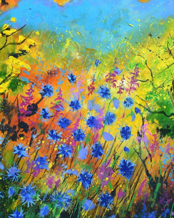 Image 1 of Wild summer flowers