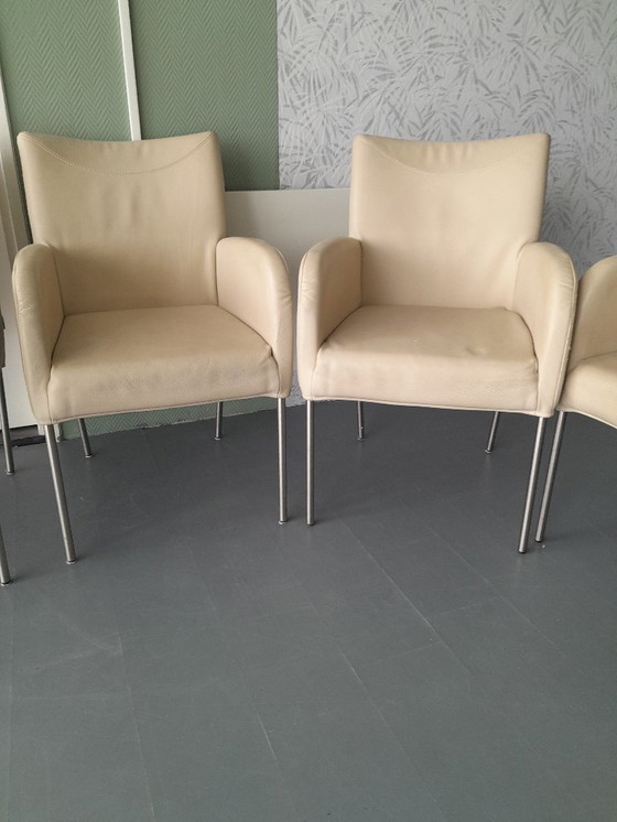 Image 1 of Plantagie Leer wit 6 stuks