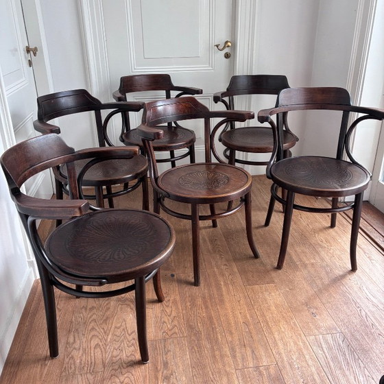 6x Poltrone stile Thonet – Legno (photo 2 of 18)