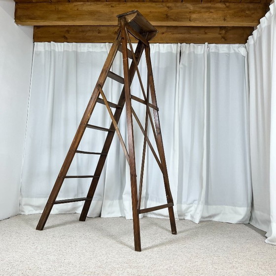 Große, patinierte Malerleiter aus Holz, 20. Jahrhundert. – Dekorative Objekte, Wood (photo 2 of 12)