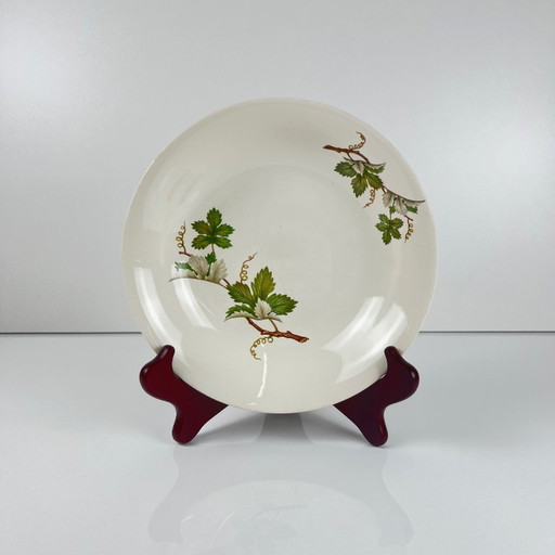 Set of 5 Villeroy & Boch "vine" soup plates