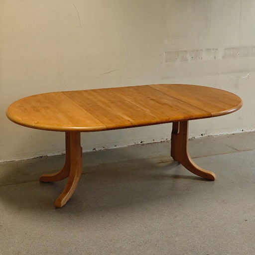 Vintage Rainer Daumiller uitschuif eettafel