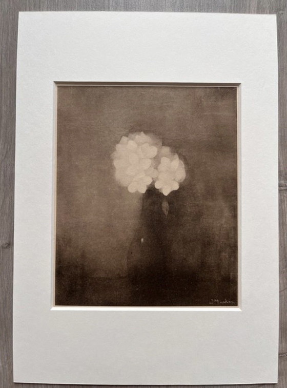 Image 1 of Jan Mankes 1889-1920 / Originele Heliogravure Vaas met Jasmijn 1923