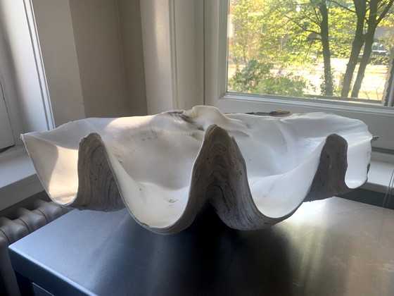 Image 1 of Beautiful Baptismal Font Shell