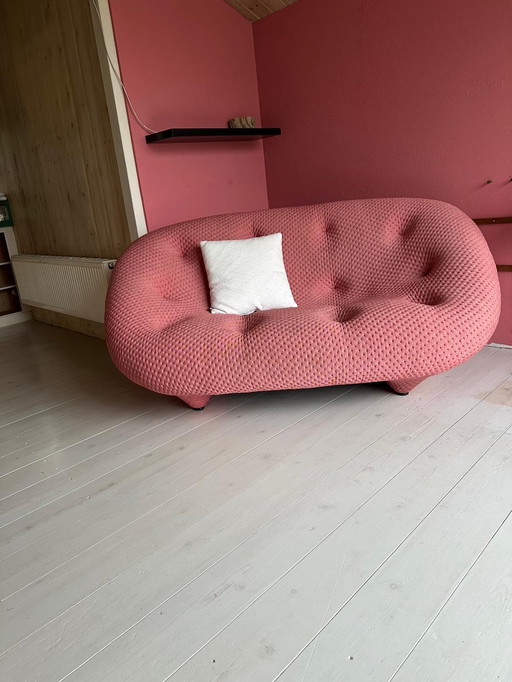 Ligne Roset Ploum 2-Zits Bank
