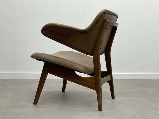 Image 1 of Louis van Teeffelen für das Wébé Penguin Restoration Project