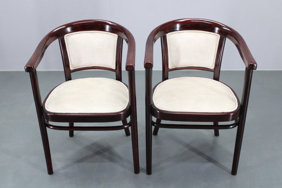 Image 1 of Pareja de sillones Thonet de los años 30 restaurados , Checoslovaquia