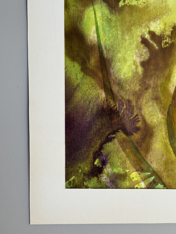 Image 1 of Eugène Eechaut (1928-2019) - Strelitzie - 1968. Signé