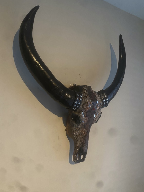Image 1 of Magnifique crâne de buffle d'eau