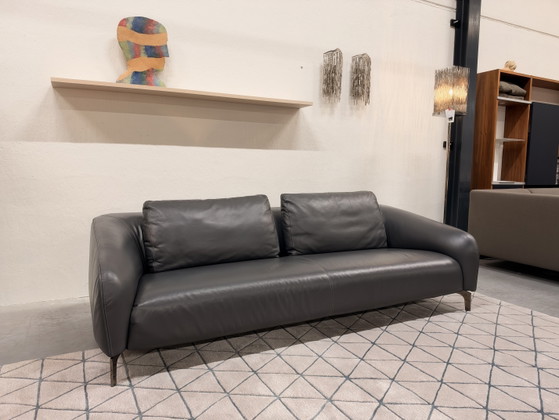 Leolux Elias 3.5-seater Sofa Ceras leather Rock, 3-5 seaters, Multi Color (photo 3 of 8)
