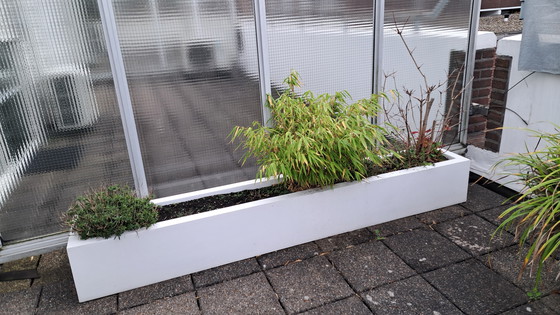 Image 1 of 2 fioriere Ibiza