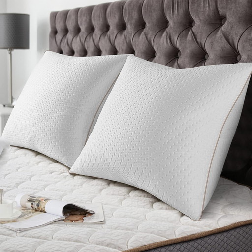 BedStory Oreillers 60x60 Lot de 2 avec Taies Amovibles avec Zip, Oreillers avec Garnissage 10% 7D et 90% 3D Fibre Polyester, Ore