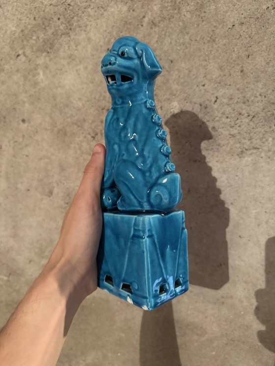 Pair of blue Fô dogs - glazed ceramic - Chinese blue - mid 20th century, Decorative Objects, Porcelain (photo 3 of 9)