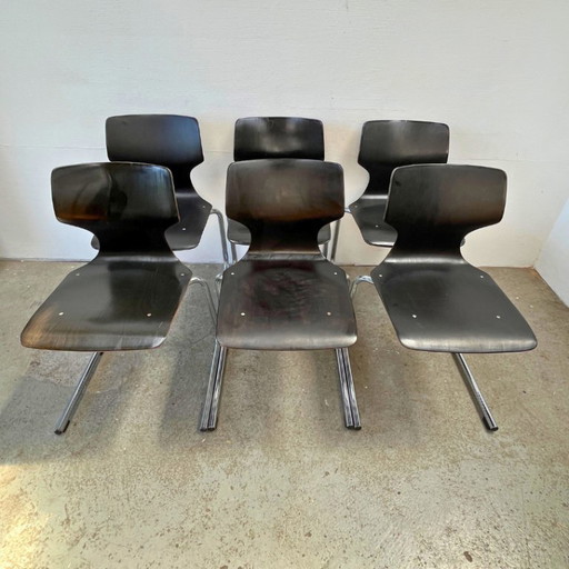 6x Design-Freischwinger pagholz schwarz - Flototto, Casala