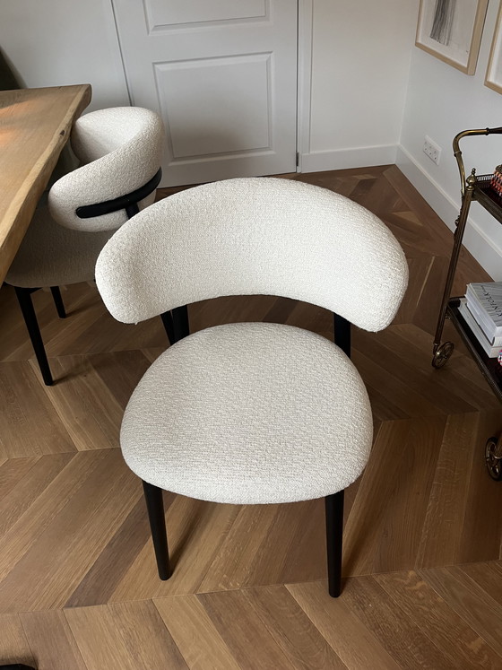 Image 1 of 6x Calligaris Oleandro chair