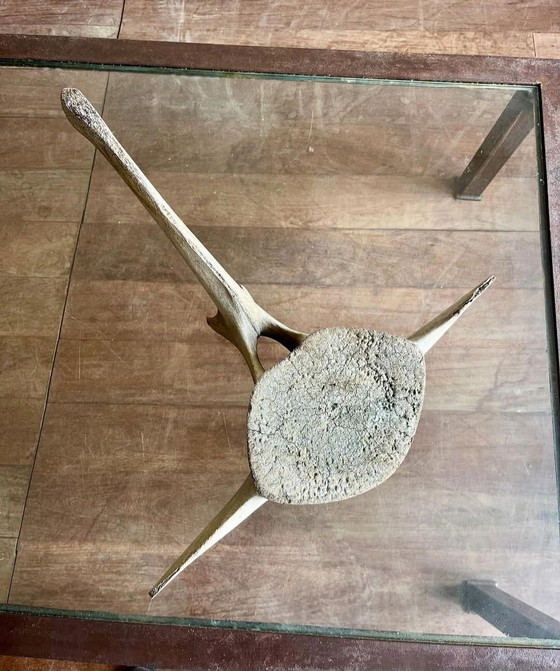 Image 1 of Eine Skulptur aus dem Meer