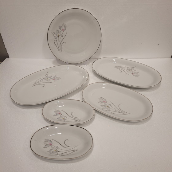 Image 1 of Vajilla de Porcelana Flores, Eschenbach, 55 Piezas, 50’s - Alemania