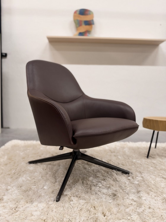 Leolux Lanah Swivel Armchair Noli leather, Brown (photo 4 of 8)