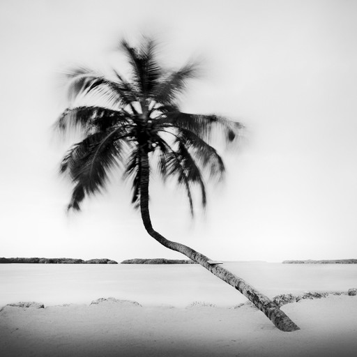 Fort Lauderdale Beach Study 3, Zwart-wit Fine Art Fotografie, Florida