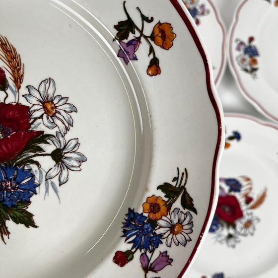 Set of 6 Dinner Plates "Agreste", Sarreguemines, Late 20th Century, Pyroblan – Crockery, Porcelain, Vintage (photo 11 of 13)