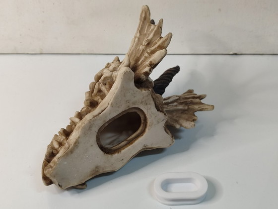 Image 1 of Hucha calavera Dragón (de resina)