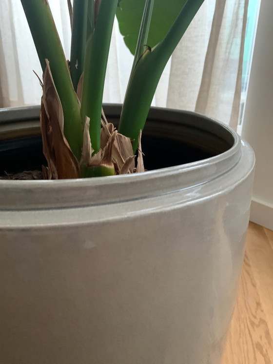 Image 1 of Set of 2 Serax indoor decorative pots