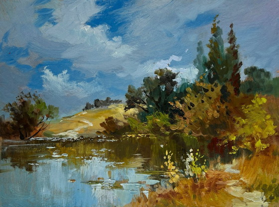 Image 1 of Origineel olieverfschilderij: Zomers rivierlandschap, een verloren hoekje van de natuur.