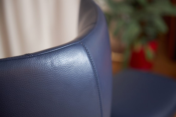 Image 1 of Leolux caruzzo