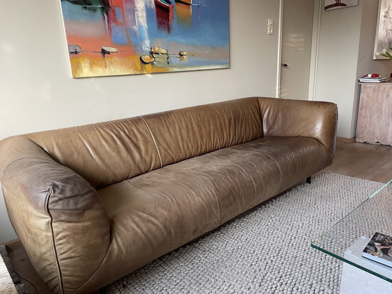 Image 1 of Moby Dick bench