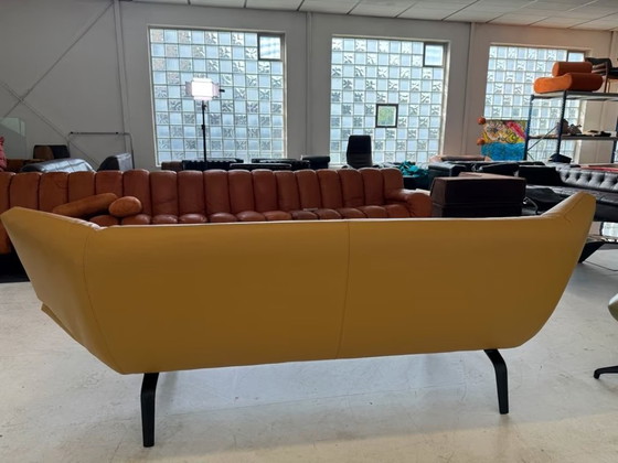 Leolux Tango Divano in Pelle Design Classico – Divani, Metallo (photo 8 of 17)