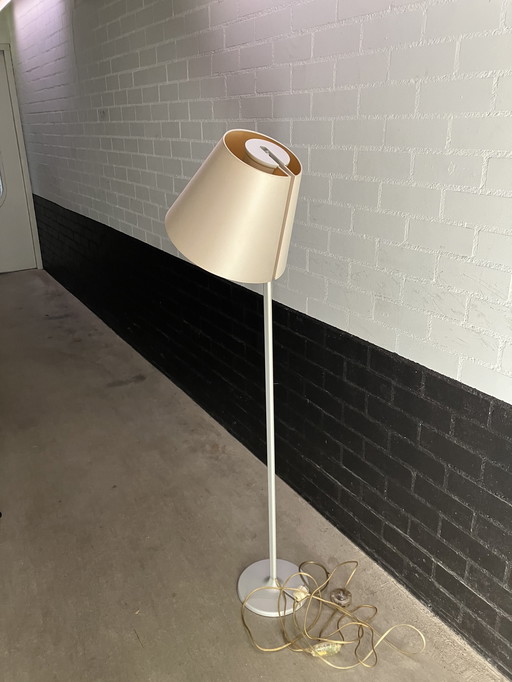 Artemide Melampo