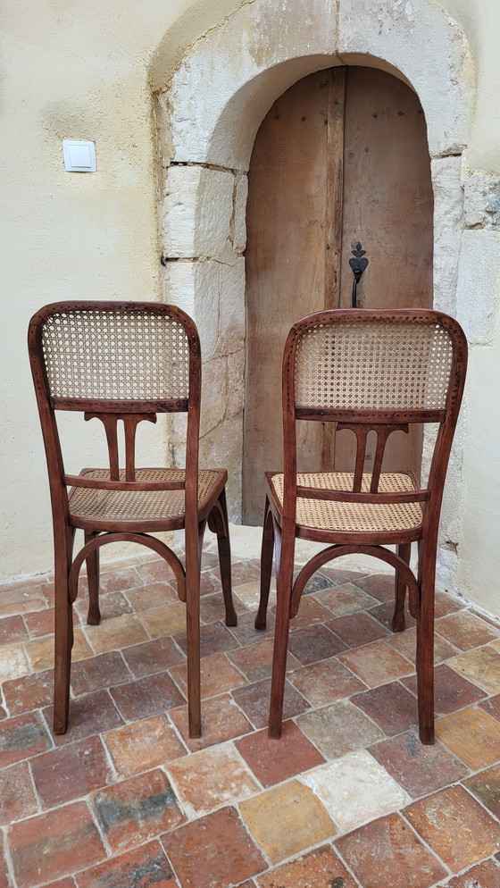 Image 1 of Chaises Art Nouveau En Bois Courbé / Fischel (*2)