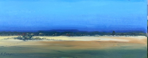 La spiaggia d'Irlanda