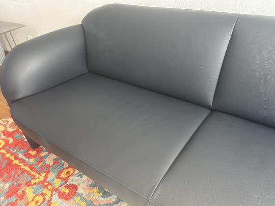 Leolux Modius 3 Zits – Banken, Leather (photo 3 of 5)