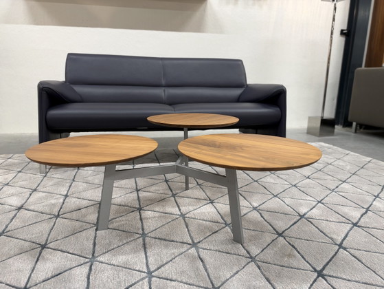 Leolux Ninfea Coffee table walnut houf, Wood, Multi Color (photo 3 of 14)