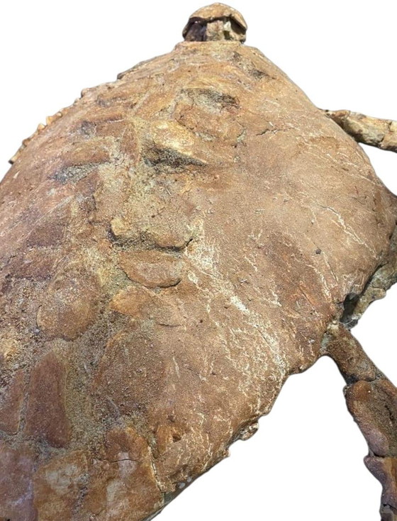 Image 1 of Scultura fossile di tartaruga