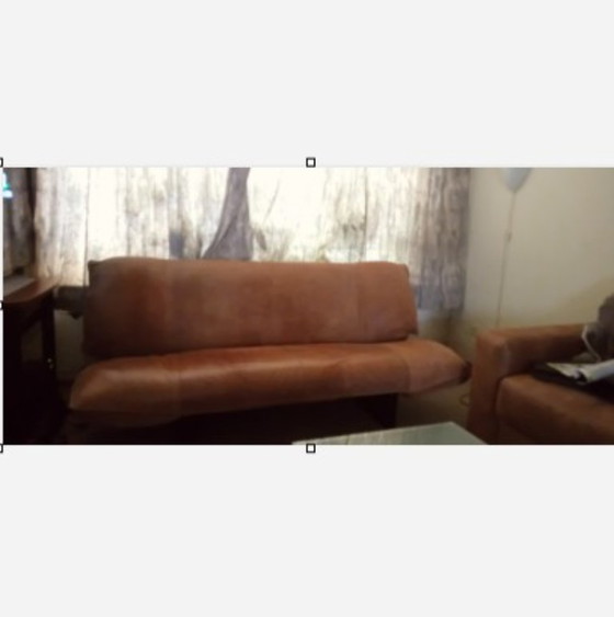 Leolux Tango Bank – Banken, Leather (photo 2 of 5)
