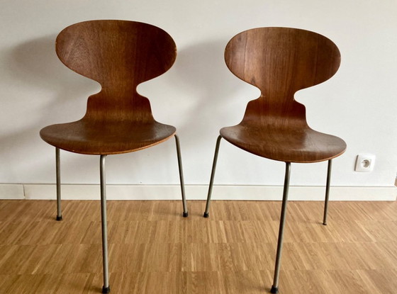 Image 1 of 2x silla Arne Jacobson Ant, originales ( años 50 )