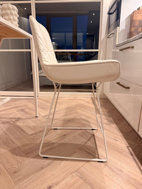 Leya Bar Armchair Low Sgabello da bar Freifrau Manufaktur, Sgabelli da bar, Pelle, Metallo, Crema, Modern (foto 4 di 5)