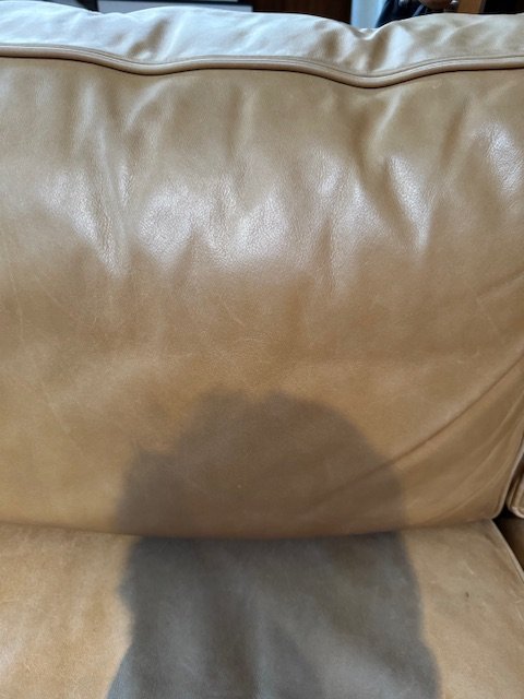 Image 1 of Canapé en cuir De Padova