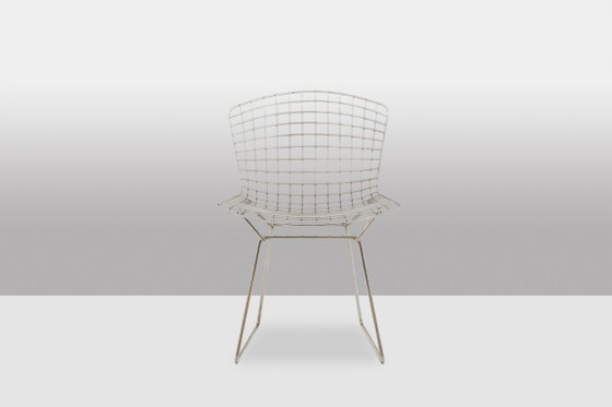 Image 1 of Harry Bertoia para Knoll. Juego de 5 sillas. Década de 1970.