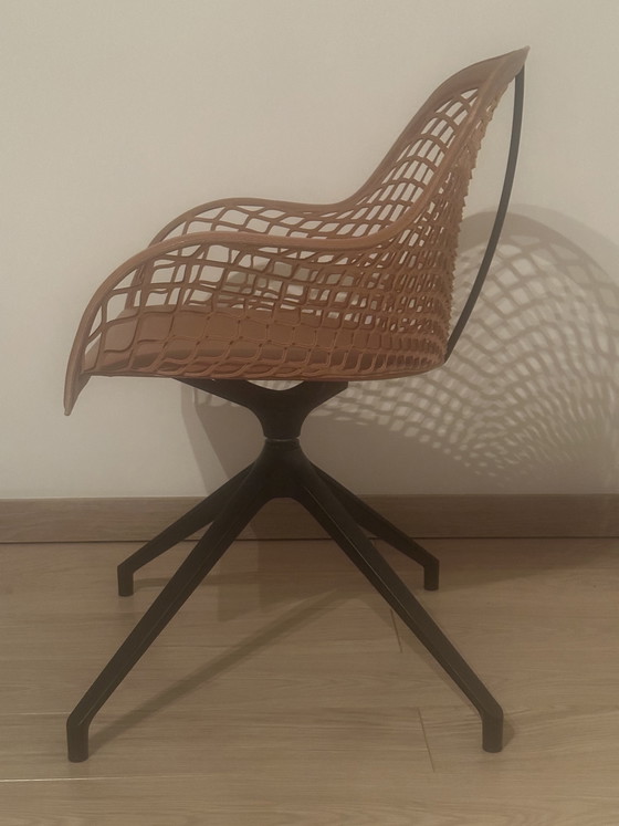 Image 1 of Midj Itala - Guapa Eetkamerstoel