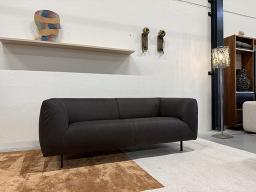 Label van den Berg Moby Dick 2.5 Seater Dark Brown