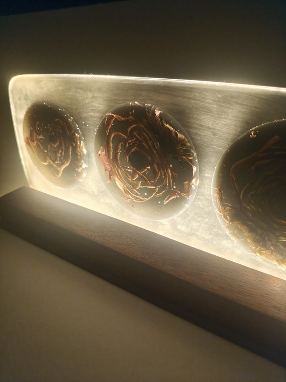 Image 1 of Luz Floral II — La Temporada Tranquila