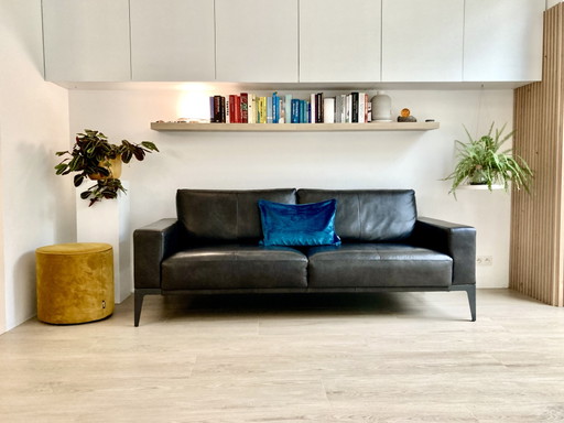 BERT PLANTAGIE RENIO – 3,5-ZITS DESIGNBANK IN LEDER –