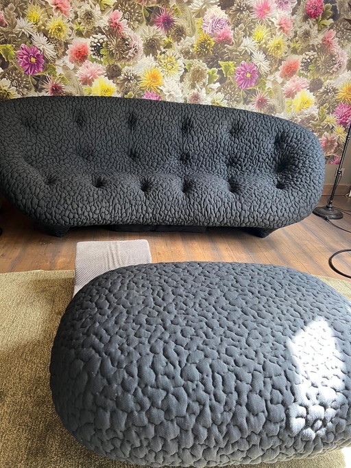 Ploum grand canapé haut dossier + Pouf