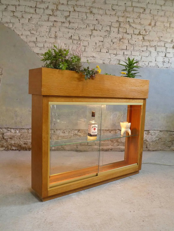 Verlichte plantenbak vitrine uit de jaren 50 – Glas, Vintage (photo 5 of 13)