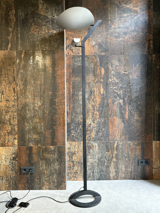 Artemide "Zen" Design Floor Lamp