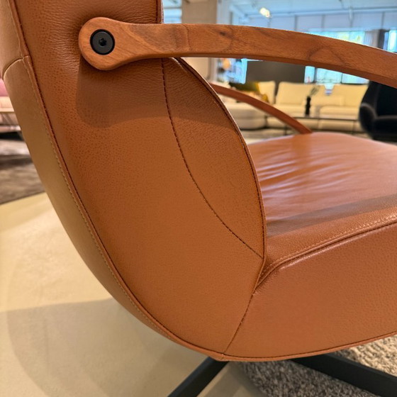 Image 1 of Harvink Focus