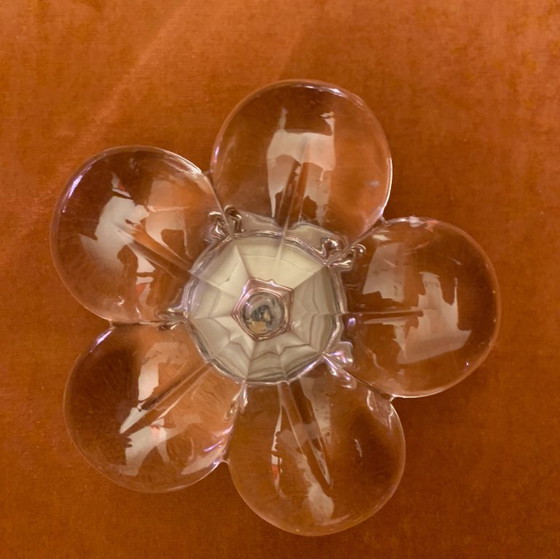 Image 1 of Lampade da parete Flower - Marcel Wanders - Flos - da esterno